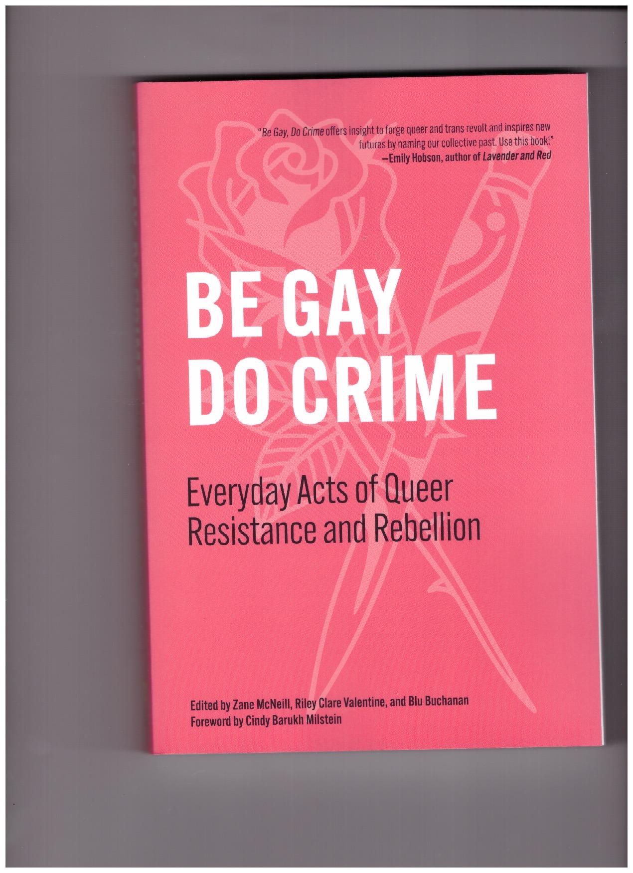 MCNEILL, Zane; CLARE VALENTINE, Riley; BUCHANAN, Blu (eds.) - Be Gay, Do Crime